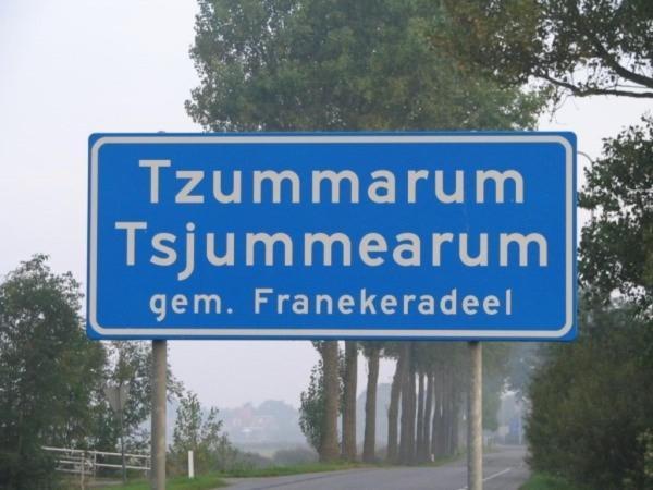 Tzummarum The Frisian Beach House Met Scandinavische Barrel Sauna 빌라 외부 사진